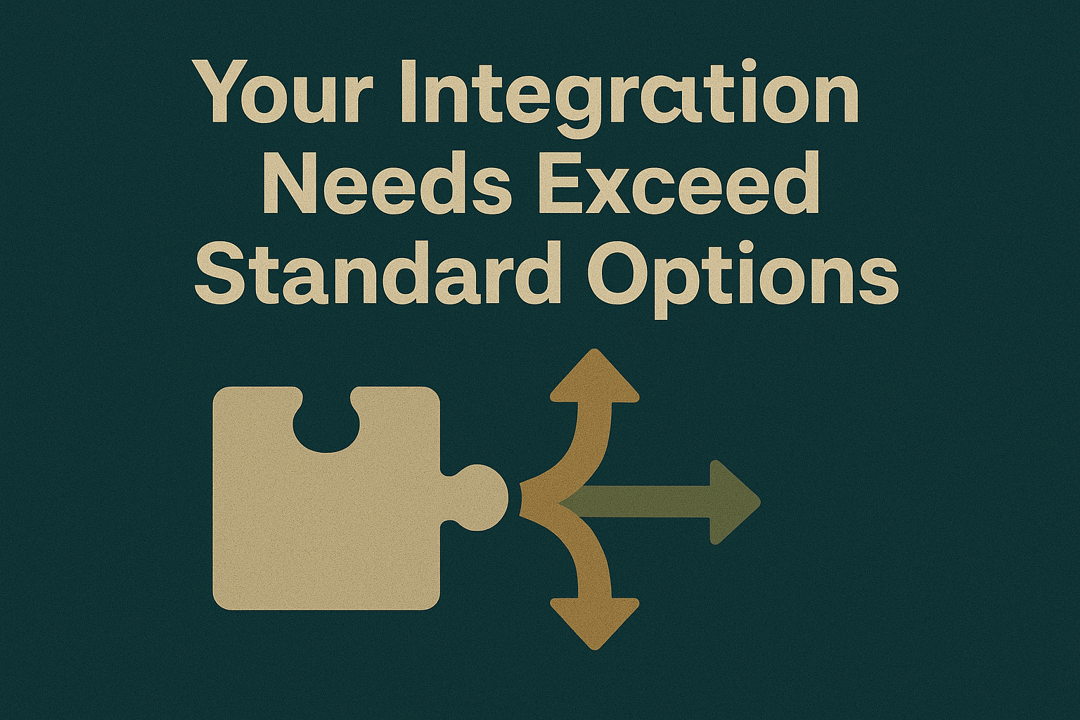 Your Integration Needs Exceed Standard Options